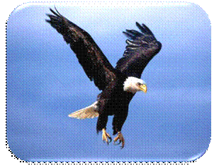 E:\Immagini\foto animali\7.jpg
